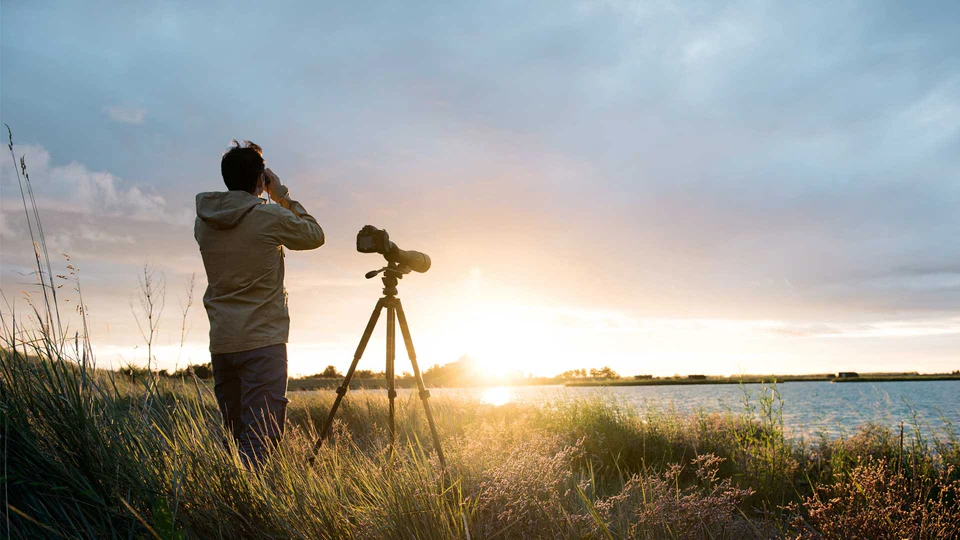 Field optics at sunset