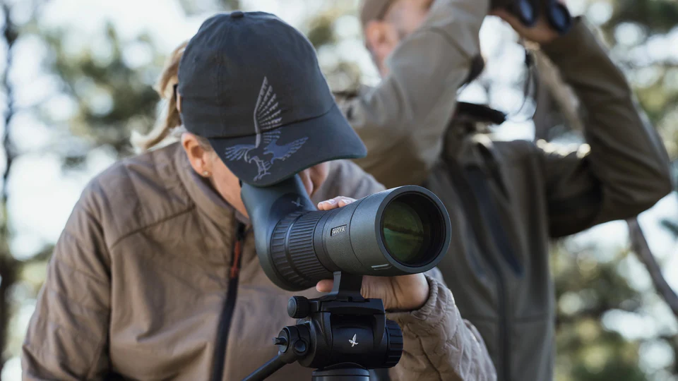 Spotting scope birding